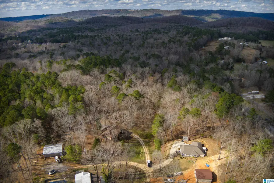 0 NORMAN STREET, Springville, AL 35146 - #3