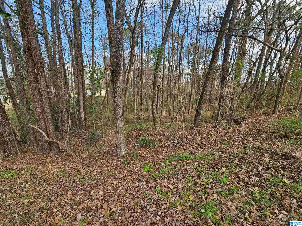 0 MOSS HILL LANE, Pell City, AL 35128 - #1