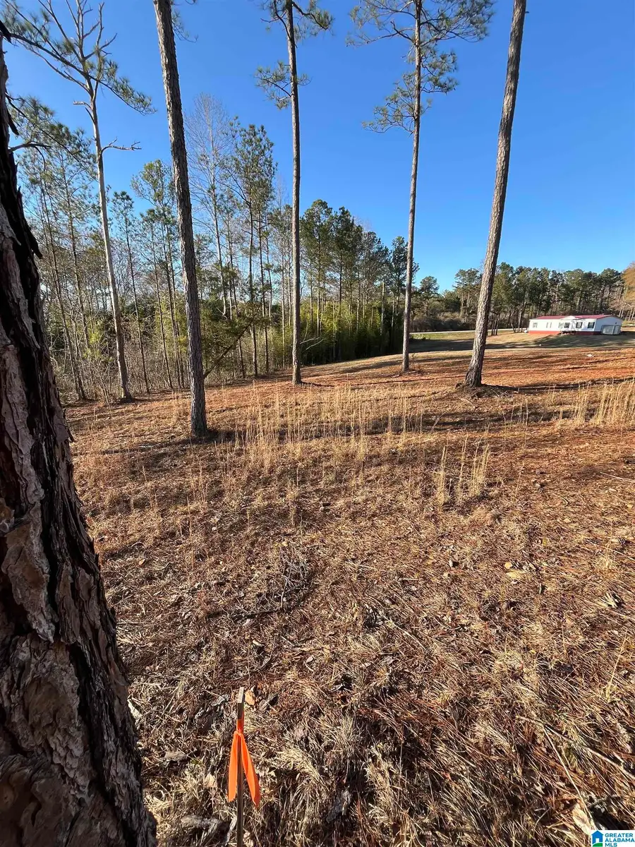 50864 HIGHWAY 22, Wadley, AL 36276 - #2