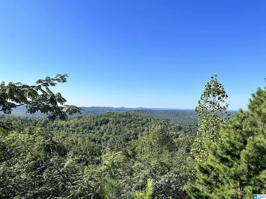 6522 OLD SPRINGVILLE ROAD, Pinson, AL 35126 - #3