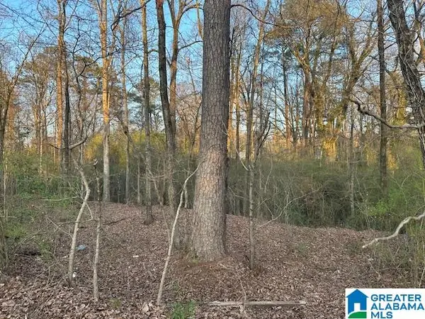 9 AIRPORT ROAD S, Jasper, AL 35501