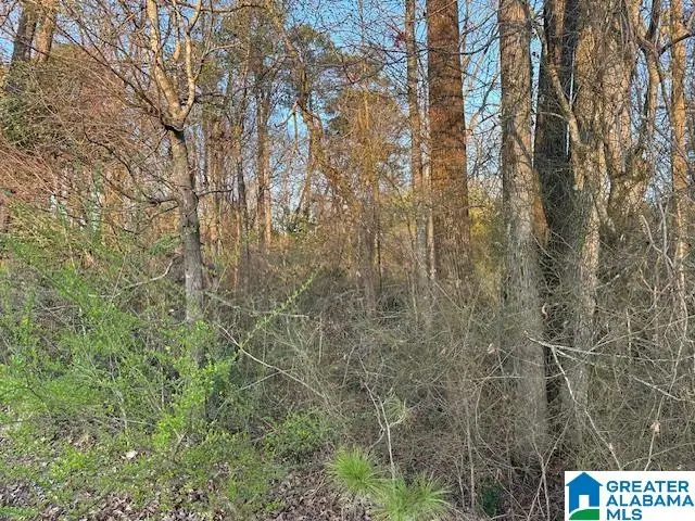 9 AIRPORT ROAD S, Jasper, AL 35501 - #2