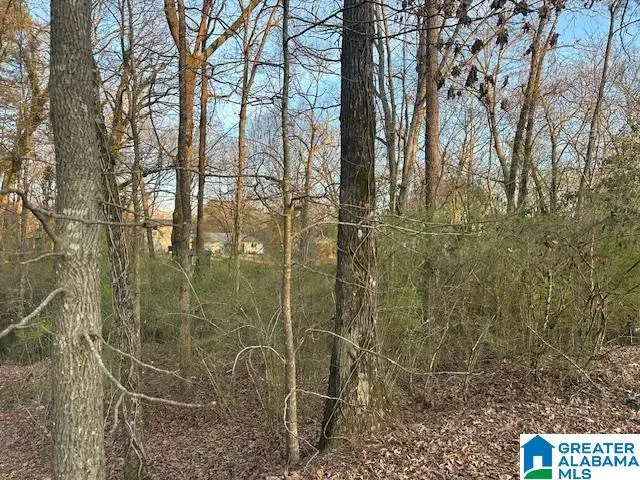 9 AIRPORT ROAD S, Jasper, AL 35501 - #3