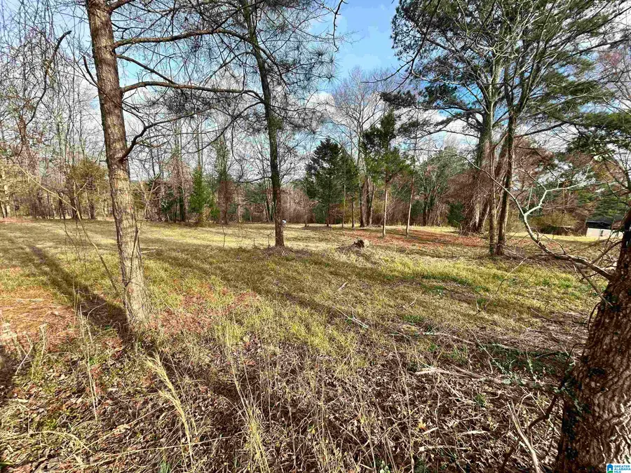 1332 BLACKJACK ROAD, Trussville, AL 35173 - #3