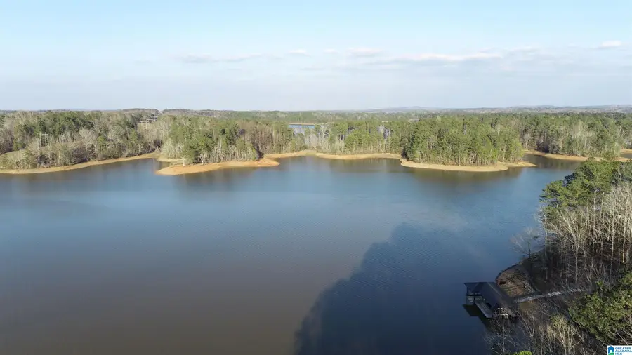 5A FOX CREEK TRACE, Lineville, AL 36266 - #2