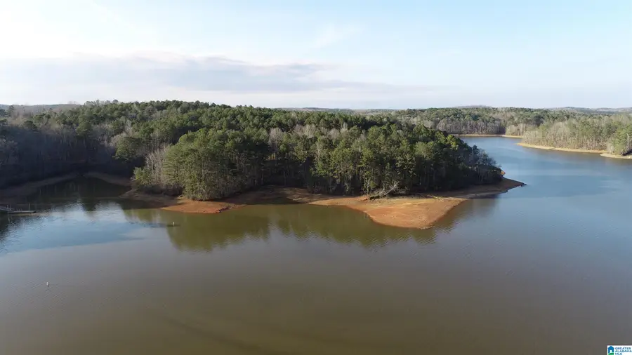 5A FOX CREEK TRACE, Lineville, AL 36266 - #3