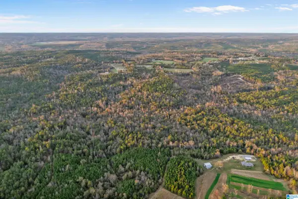 COUNTY ROAD 328, Maplesville, AL 36006