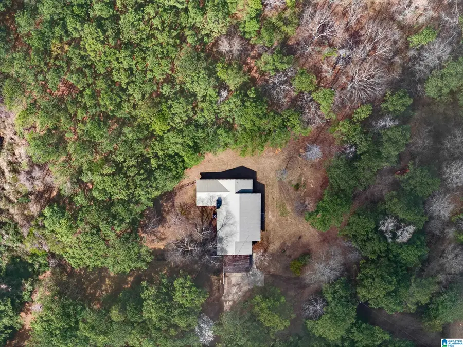 5949 ALEXANDRIA JACKSONVILLE HIGHWAY, Jacksonville, AL 36265 - #3