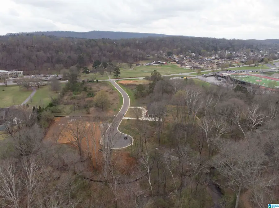 131 BISHOP CREEK LANE, Birmingham, AL 35242 - #3