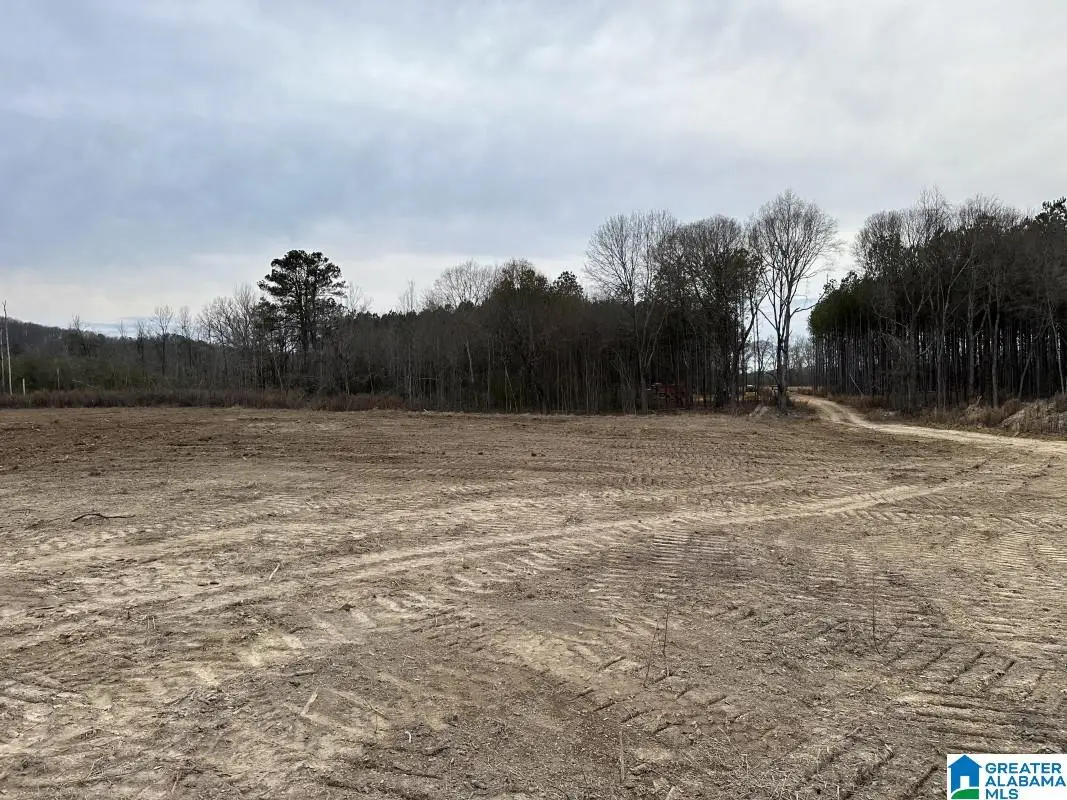 3712 BEASLEY ROAD, Hokes Bluff, AL 35903 - #1