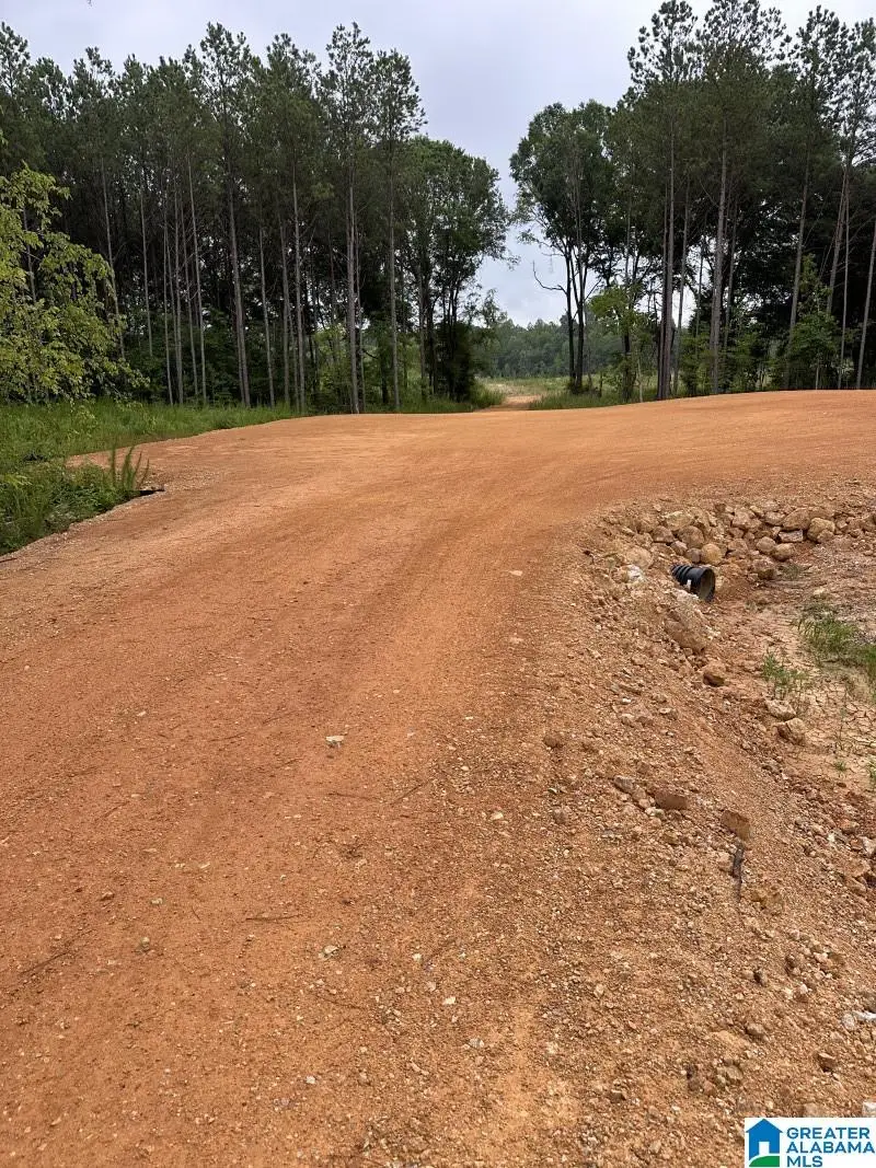 3712 BEASLEY ROAD, Hokes Bluff, AL 35903 - #2