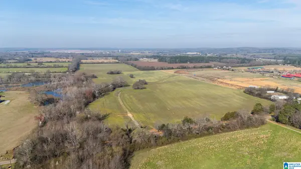 0 CURRY STATION ROAD, Eastaboga, AL 36260