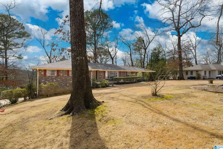 3408 BLUEBERRY LANE, Hoover, AL 35216 - #3