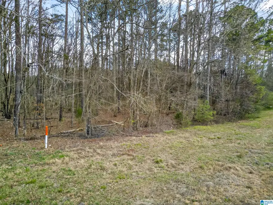 0 ALABAMA HIGHWAY 21, Jacksonville, AL 36265 - #3