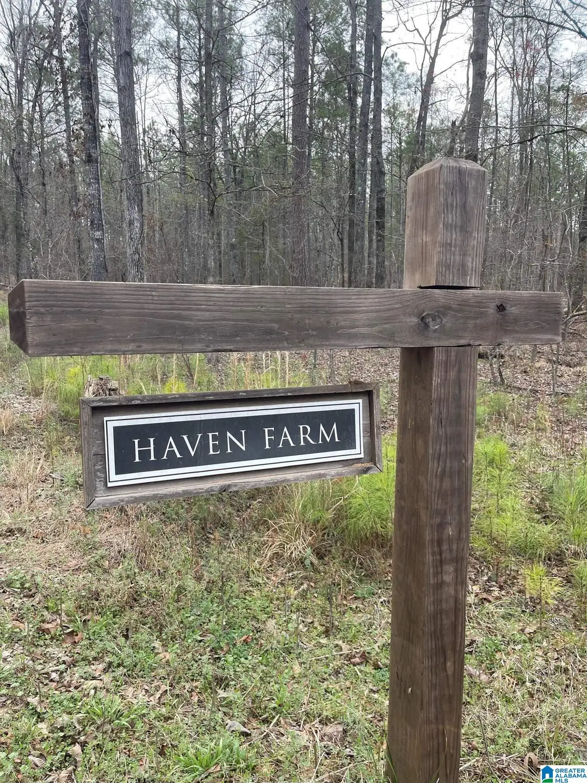 752 HAVEN FARM DRIVE, Columbiana, AL 35051 - #1