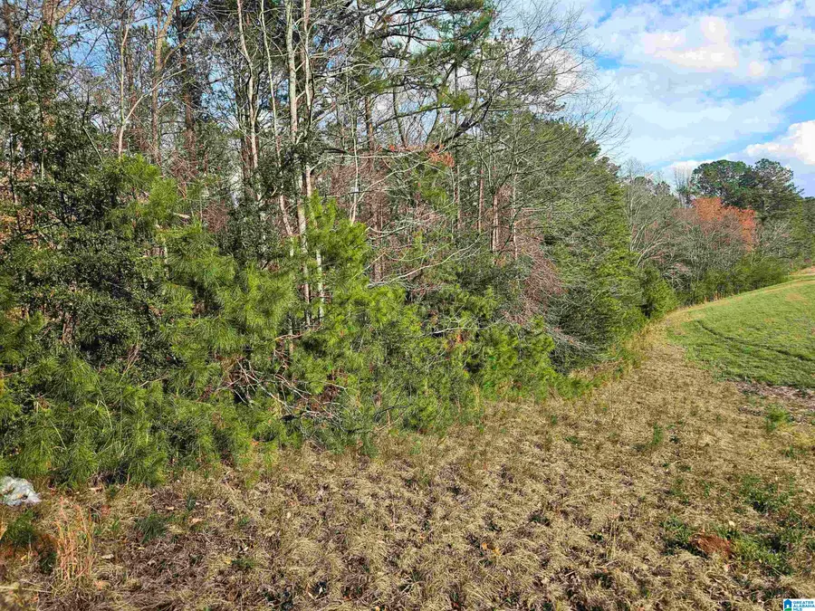 0 HIGHWAY 280 W, Sylacauga, AL 35150 - #2