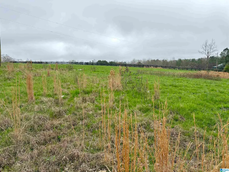 0 COUNTY ROAD 670, Ranburne, AL 36273 - #2