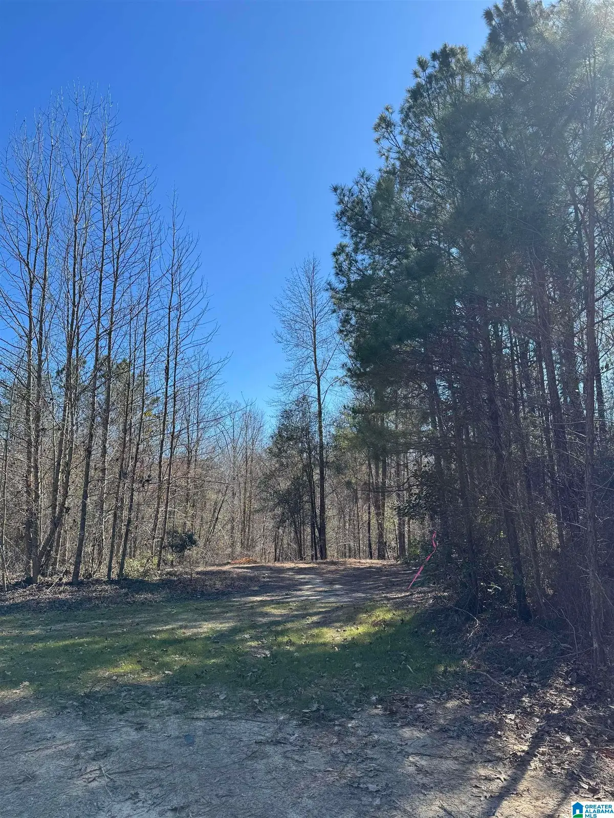 19063 WESTSIDE ROAD, Brookwood, AL 35444 - #1