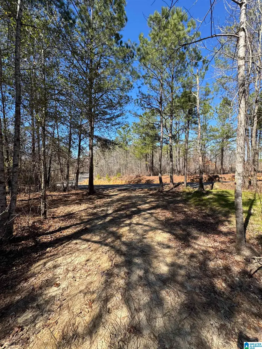 19063 WESTSIDE ROAD, Brookwood, AL 35444 - #2