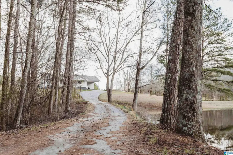 149 COUNTY HIGHWAY 29, Oneonta, AL 35121 - #2