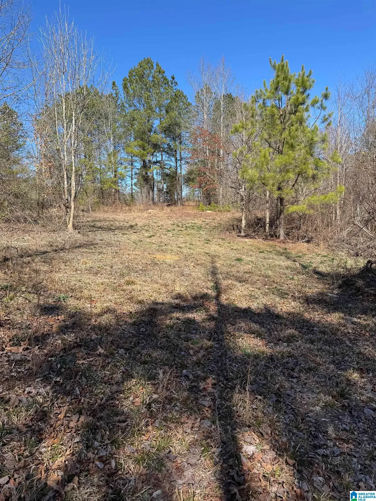 19075 WESTSIDE ROAD, Brookwood, AL 35444 - #1