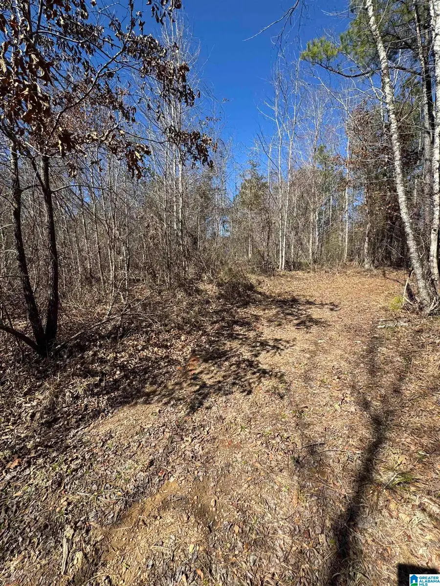 19075 WESTSIDE ROAD, Brookwood, AL 35444 - #3