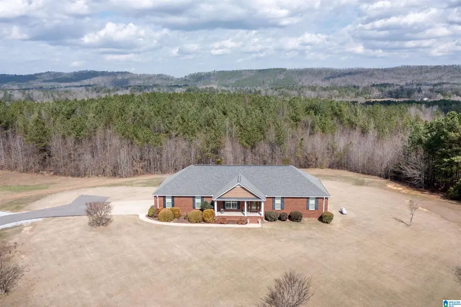 314 LANDERS ROAD, Jacksonville, AL 36265 - #2