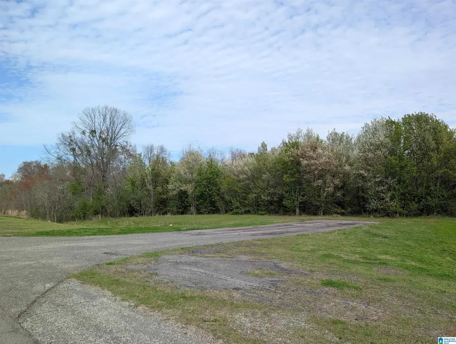 0 (4 acres) HIGHWAY 21, Oxford, AL 36203 - #2
