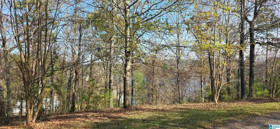 67 BROADWATER DRIVE, Warrior, AL 35180 - #2