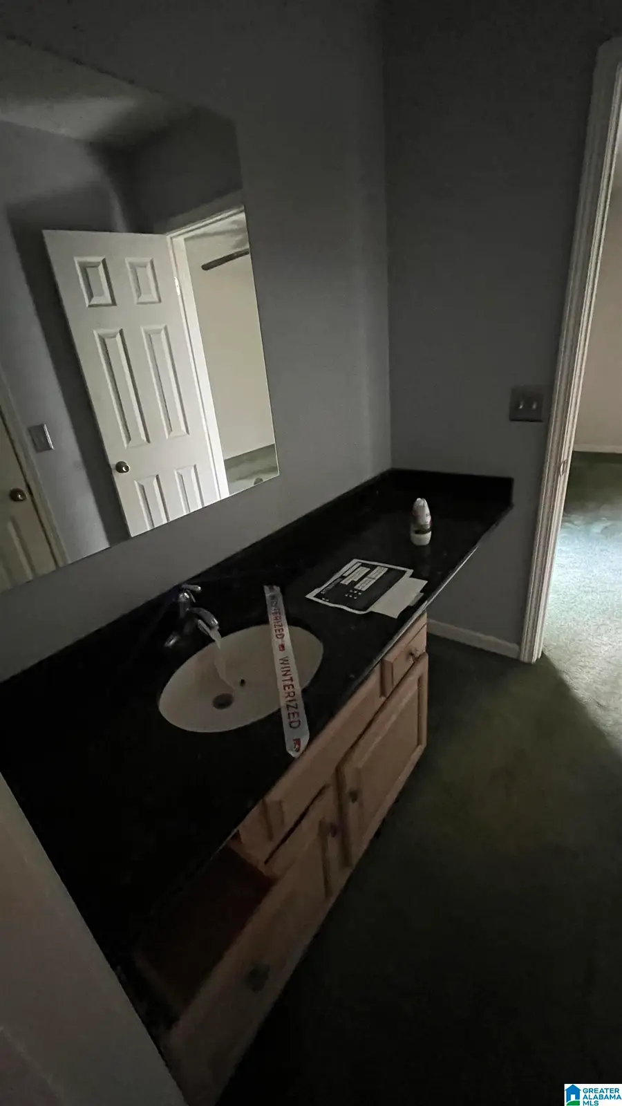 11615 BROWN CIRCLE, Woodstock, AL 35188 - #3