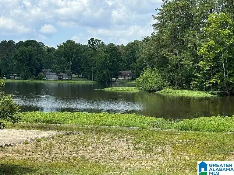 4396 SHORE DRIVE, Ashville, AL 35953 - #2