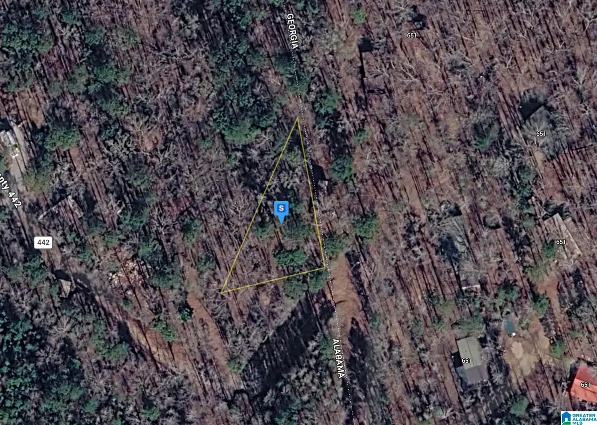 1100 COUNTY ROAD 442, Five Points, AL 36855 - #1