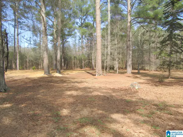 4429 ROY WEBB ROAD, Jacksonville, AL 36265