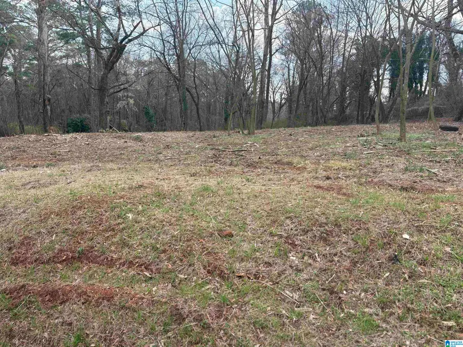 9149 ZION CITY ROAD, Birmingham, AL 35206 - #2