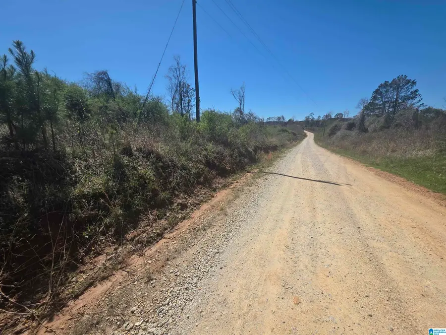 Tract 9 COUNTY ROAD 256, Wedowee, AL 36278 - #2