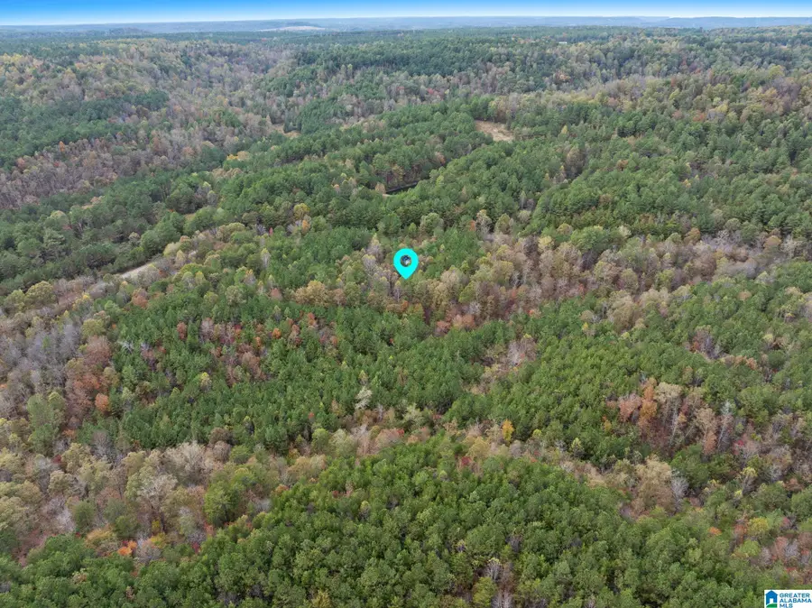 0 COUNTY ROAD 518, Hanceville, AL 35077 - #3