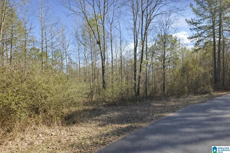 8553 JONES ROAD, Dora, AL 35062 - #3