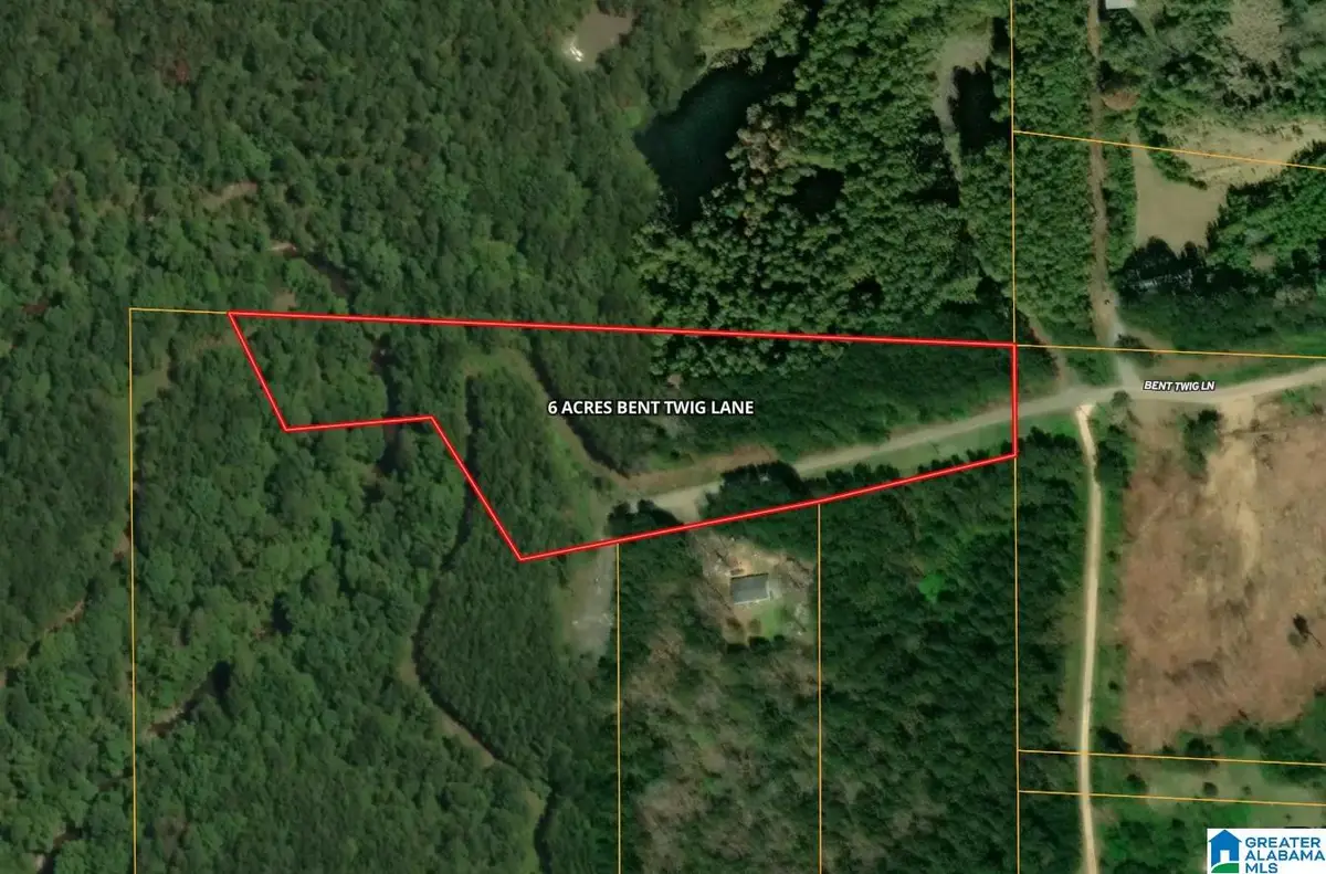 6.1 Acres BENT TWIG LANE, Brookwood, AL 35444 - #1