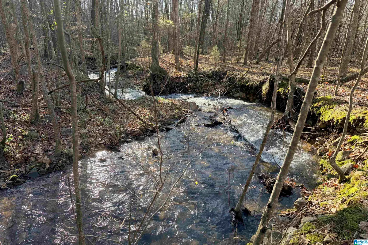 310 WOOD VALLEY ROAD, Anniston, AL 36207 - #1