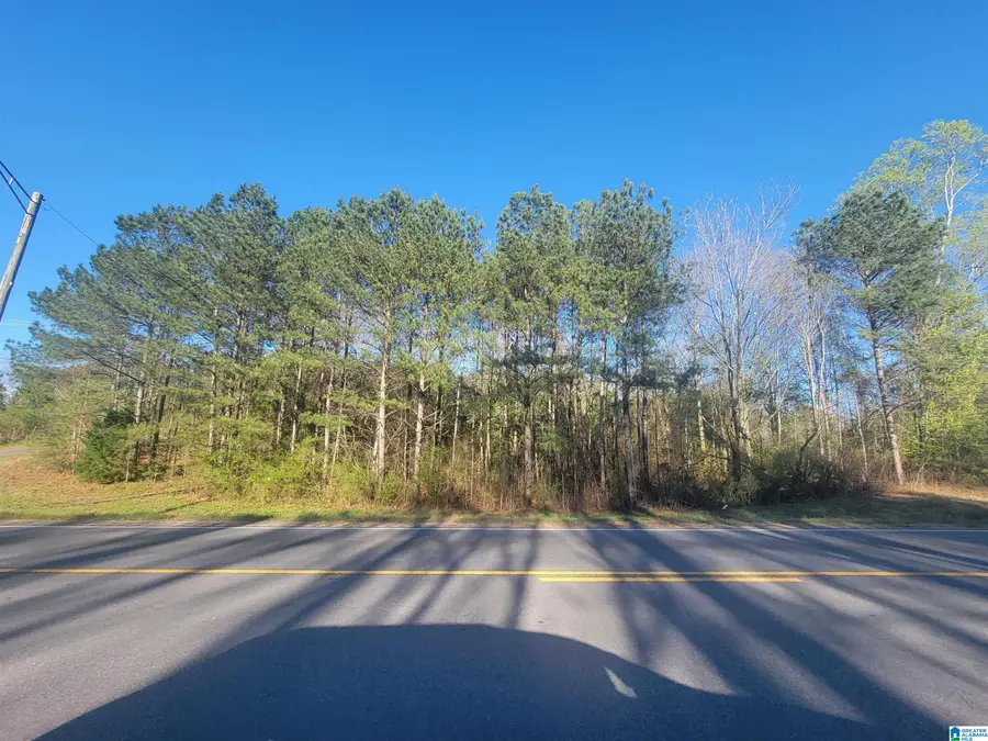 3.02 +/- Acres HIGHWAY 431, Roanoke, AL 36274 - #2