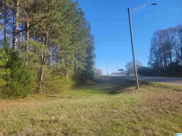 3.02+/- Acres HIGHWAY 431, Roanoke, AL 36274