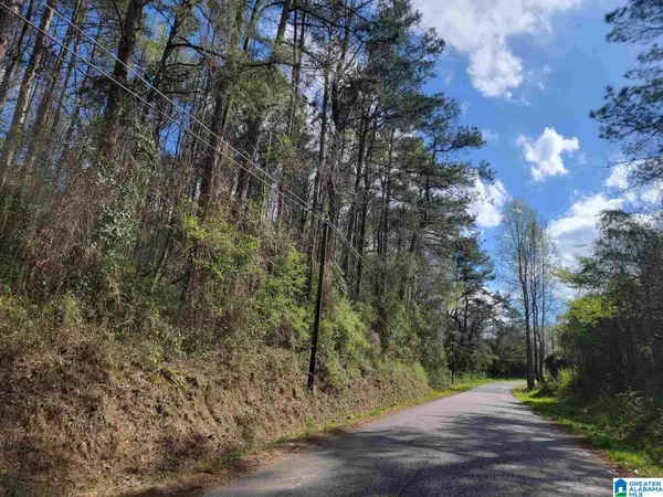 6.27 Acres LAMAR STREET, Roanoke, AL 36274
