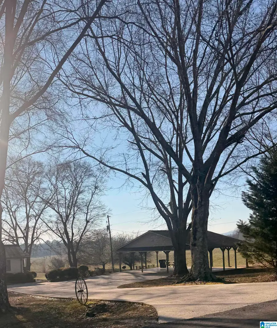 11324 COUNTY ROAD 33, Ashville, AL 35953 - #2