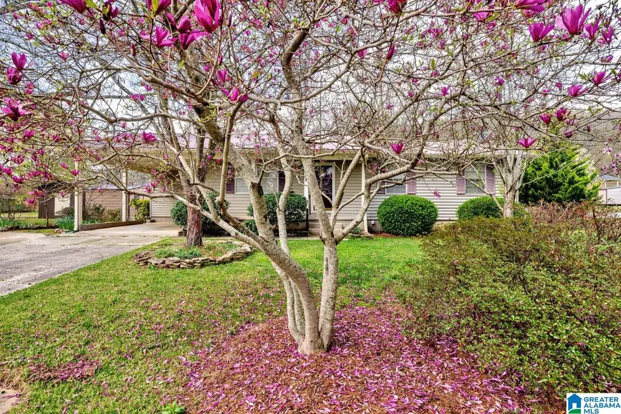 804 COTTON AVENUE, Oneonta, AL 35121 - #2