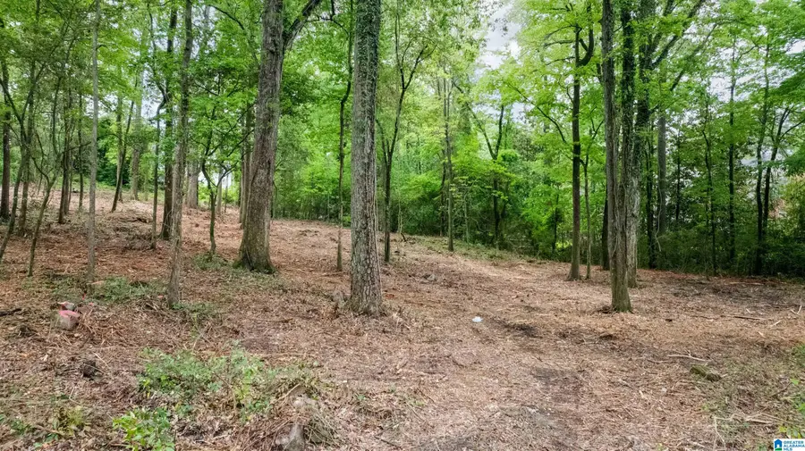 3613 MONTCLAIR ROAD, Mountain Brook, AL 35213 - #3