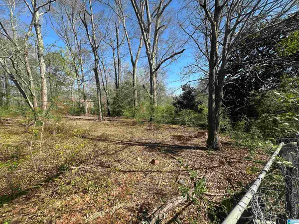 13181 E CAPITAL DRIVE, Lawley, AL 36793