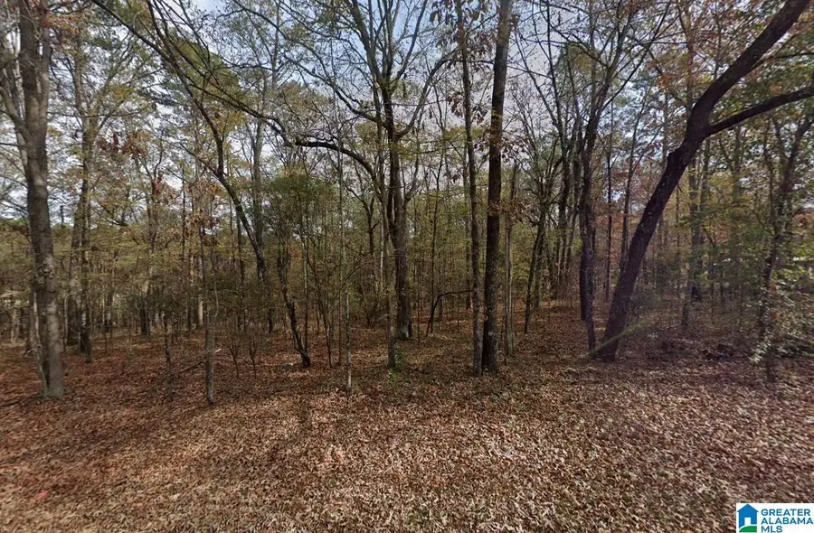 575 FUNDERBURG BEND ROAD, Pell City, AL 35128 - #2