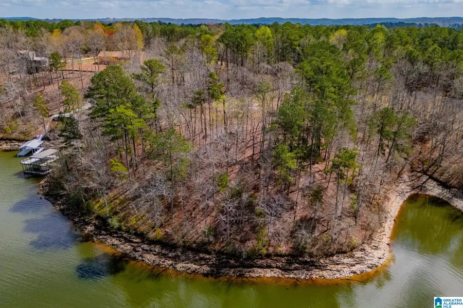 4650 COUNTY ROAD 804, Wedowee, AL 36278 - #2