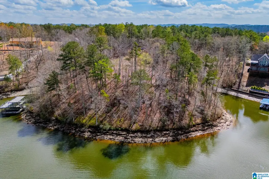 4650 COUNTY ROAD 804, Wedowee, AL 36278 - #3