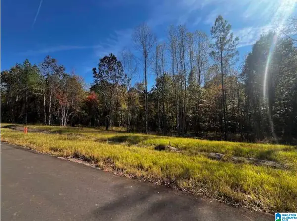 620 HORSESHOE TRAIL, Helena, AL 35022